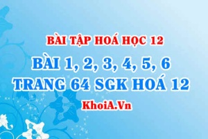 Bài tập đại cương Polime: Giải bài 1, 2, 3, 4, 5, 6 trang 64 SGK Hóa 12